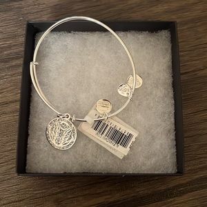 ALEX and ANI sliver bracelet